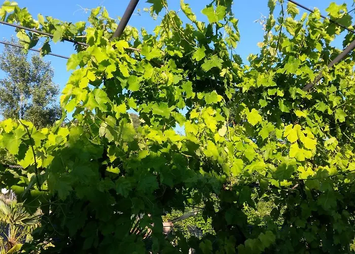 Bed & Breakfast La Casetta Di Badolo *