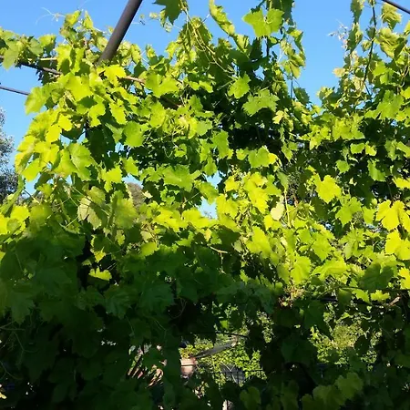 Bed and Breakfast La Casetta Di Badolo *